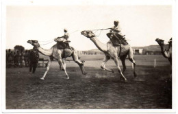 EGYPT Ca 1925 - CAMELS RACE In ASUAN. UNCIRCULATED POSTAL CARD - Assouan