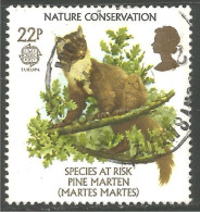 EU86-36 EUROPA CEPT 1986 Grande Bretagne Pine Marten Martre Des Pins - 1986