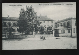 57 - CHATEAU-SALINS - LE COLLEGE - Chateau Salins