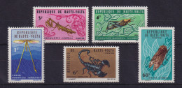 Obervolta Burkina Faso 1966 Insekten Und Skorpion Mi.-Nr. 201-205 Postfrisch ** - Burkina Faso (1984-...)