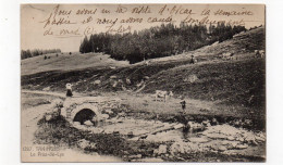 74 - TANINGES - Le Praz De Lys - Animée - 1920 (H177) - Taninges