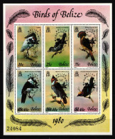 Belize Block 22 Postfrisch Vögel #IQ188 - Belize (1973-...)