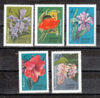 Sowjetunion 1971**, Blumen Aus Bot. Garten (I), Kaktus / Soviet Union 1971, MNH, Flowers From Bot. Garden (I), Cactus - Sukkulenten