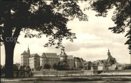 72357138 Torgau Schloss Hartenfels Stadtkirche  Torgau - Torgau