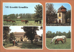 72354719 Graditz VE Gestuet Graditz Gutshaus Turm Pferde Graditz - Torgau