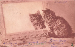 ANIMAUX & FAUNE - CHATS - Chat Seul Devant Un Miroir - Que Je Suis Beau ! - Carte Postale Ancienne - Gatos