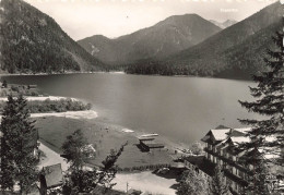 AUTRICHE - Tyrol - Plansee Hotel "Forelle" Mir Zugspitze - 2966m - Carte Postale - Sonstige & Ohne Zuordnung