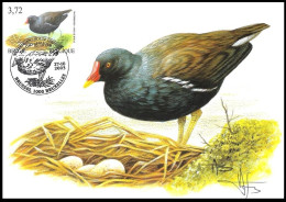 CM/MK° - Poule D'eau/Waterhoen/Teichhuhn/Moorhen/Gallinula Chloropus - BSL-BXL - 27-10-2003 - BUZIN - SIGNÉ/GETEKEND - Storks & Long-legged Wading Birds