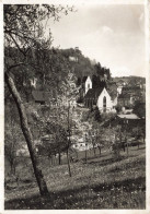 FRANCE - Ferrette - Vue Sur Jura Alsacien - Carte Postale Ancienne - Ferrette