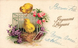 FÊTES ET VOEUX - Joyeuses Pâques - Poussins Dans Une Cage - Carte Postale Ancienne - Easter