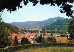 FRANCE - Munster - Vue Générale De La Ville - Colorisé - Carte Postale - Munster