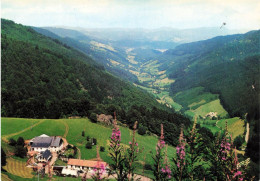 FRANCE - La Haute Vallée De La Liepvrette Depuis Le Col Des Bagenelles - Colorisé - Carte Postale - Other & Unclassified