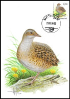 CM/MK° - Râle Des Genêts/Kwartelkoning/Wachtelkönig/Corncrake/Crex Crex - Mechelen - 29-05-2006 - BUZIN - SIGNÉ/GETEKEND - Kraanvogels En Kraanvogelachtigen