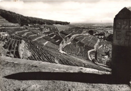 FRANCE - Guebwiller - Vue Partielle Des Vignobles Schlumberger - Les Côteaux Kitterie... - Carte Postale Ancienne - Guebwiller