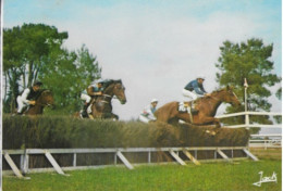 44 NORT SUR ERDRE (Loire Atlantique) Courses De Haies -circulé 1976 Edit. JACK Bouchet (chevaux Cavaliers) - Nort Sur Erdre