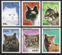 Congo Rep. 1996 Cats Y.T. 1022A/1022F (0) - Usati