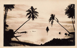 Nouvelle Calédonie - Carte Photo - Palmier - Bateau - Mer - Carte Postale Ancienne - Nieuw-Caledonië