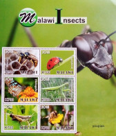 Malawi 2018, Malawi Insects, MNH Sheetlet - Malawi (1964-...)