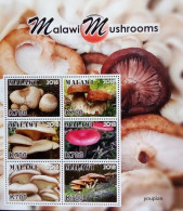 Malawi 2018, Mushrooms, MNH Sheetlet - Malawi (1964-...)