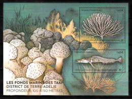 TAAF - 2023 - Les Fonds Marins Des TAAF - District De Terre Adélie - Bloc 2 Timbres - MNH ** Neuf - New - - Hojas Bloque