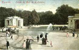 Belgique - Brussel -  Bruxelles - Entrée Du Bois De La Cambre - Foreste, Parchi, Giardini