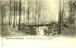 Belgique - Brussel -  Bruxelles - Souvenir De Bruxelles - Le Petit Pont Du Bois De La Cambre - Bosques, Parques, Jardines