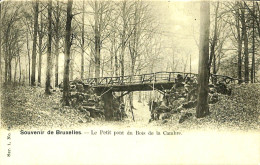 Belgique - Brussel -  Bruxelles - Souvenir De Bruxelles - Le Petit Pont Du Bois De La Cambre - Foreste, Parchi, Giardini