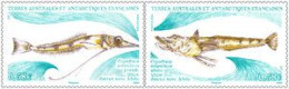 TAAF - 2023 - Cryodraco Antarticus - Animaux Marins - Faune - 2 Timbres En Paire MNH ** Neuf - New - - Nuevos