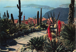 FRANCE - Reflets De La Côte D'Azur - Dans Le Jardin Exotique D'Eze Au Loin St Jean Cap Ferrat Et De Nice - Carte Postale - Saint-Jean-Cap-Ferrat