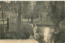 95 NESLES LA VALLÉE - Le Cours Du Sausseron Paysage - Nesles-la-Vallée