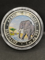 100 SHILLINGS ARGENT 2010 ELEPHANT SOMALIE 5000 EX. / 1 OZ SILVER 999 - Somalie