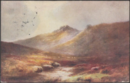 WH Dyer - A Dartmoor Stream, Devon, 1920 - Salmon Postcard - Dartmoor