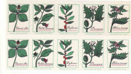 Czechoslovakia - Czechia 10 Matchbox Labels, Poisonous Plants - Rulik, Lýkovec, Durman, Blín, Vruní Oko - Boites D'allumettes - Etiquettes