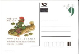 CDV PM 42 Czech Republic K. Franta Exhibition In The Post Muzeum 2004 Catfish - Cartes Postales