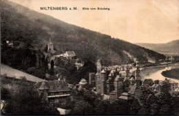 N°1293 V -cpa Miltenberg A. M. - Miltenberg A. Main