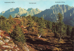 AUTRICHE - Alpennvereinsschutzhaus - Hochsteinhütte  - Carte Postale - Lienz