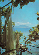 TAHITI - Tahiti - Filet Pirogue Et Moorea - Vue Générale D'une Plage - Carte Postale - Tahiti