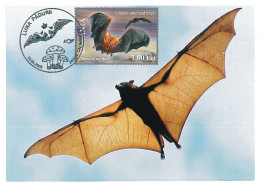MAX 11 - 173 BAT, Romania - Maximum Card - 2009 - Bats