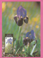 Carte Maximum - Belgique - 1990 - Fleurs Iris - 1981-1990