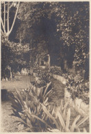 Photo Ancienne De La Colombie Jardin De L'hôtel à Fusagasuga - Amerika