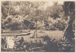 Photo Ancienne De La Colombie Jardin De L'hôtel à Fusagasuga - América