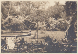 Photo Ancienne De La Colombie Jardin De L'hôtel à Fusagasuga - Amérique