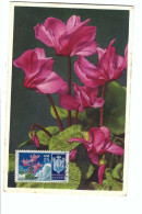 FDC   REPUBLICA DI S.MARINO 811 Cyclamen    18-3- 1954 - Gebraucht