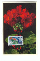FDC   REPUBLICA DI S.MARINO  675  Geranium    23-2- 1954 - Used Stamps