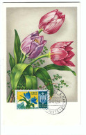 FDC   REPUBLICA DI S.MARINO  18003          10-4. 1954 - Used Stamps