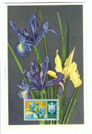 FDC   REPUBLICA DI S.MARINO  No 995  Iris         23-3. 1954 - Oblitérés