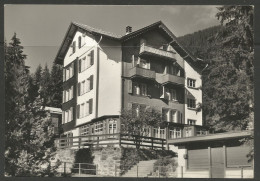 Carte P De 1962 ( Wengen / La Soldanelle ) - Wengen