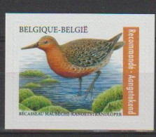 Belgique Nb° 5147 XX BUZIN Bécasseau Maubèche - Ongebruikt