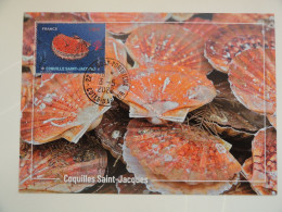 CARTE MAXIMUM CARD COQUILLE SAINT-JACQUES OBL ORD SAINT QUAI PORTRIEUX COTES D'ARMOR FRANCE - Crustaceans