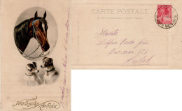 ARGENTINA 1904  POSTCARD SENT TO  BUENOS AIRES - Covers & Documents